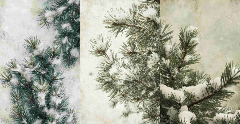 Heavy Pine Branches – Free Winter Junk Journal Printables (WT0006)