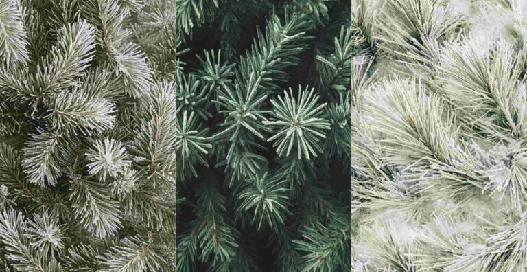 Winter Pine Needles – Free Winter Junk Journal Printables (WT0011)